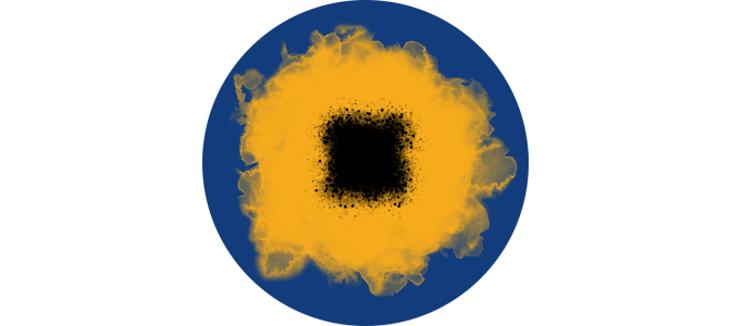 A gunduy's eye